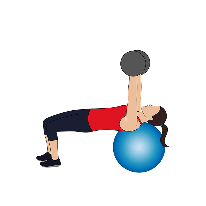 pec-fly exercise ball power weight